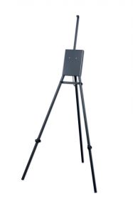 Model 1